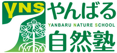 有限会社やんばる自然塾のロゴ