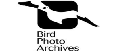 株式会社マツケン事業所 Baseconnect